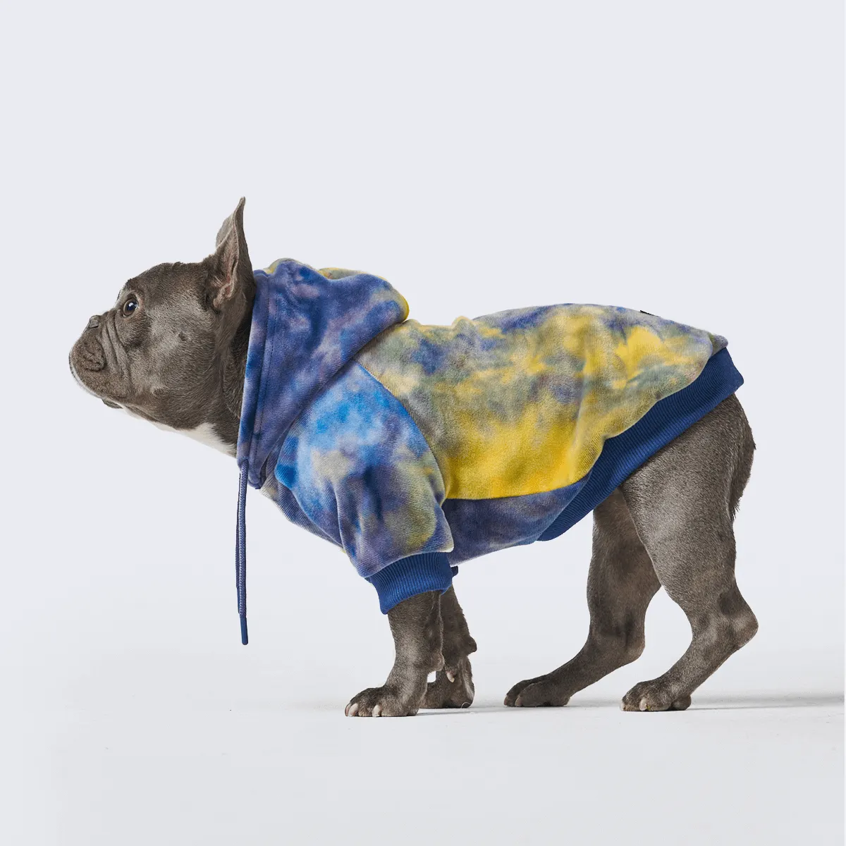 Velvet Dog Hoodies