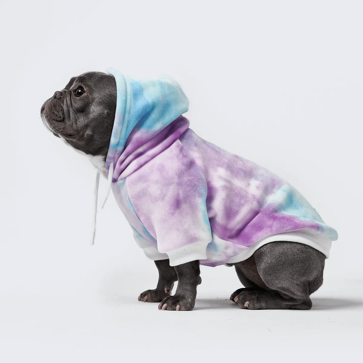 Velvet Dog Hoodies